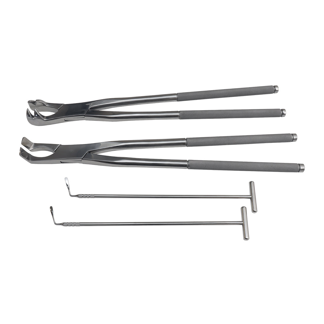Equine Extraction Kit Equine Dental Instruments