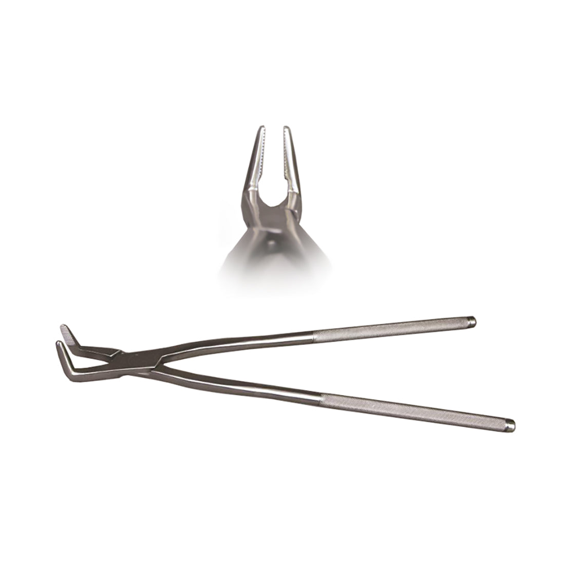 Fragment Forceps, 19" Length Equine Dental Instruments