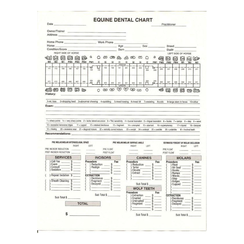 General Dental Invoice / Chart