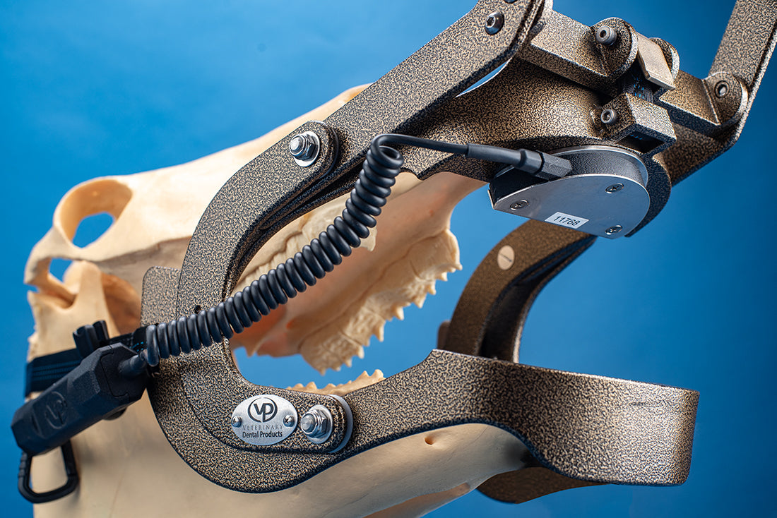 EEZY-View™ Magnetic BiteLite | Equine Dental Instruments
