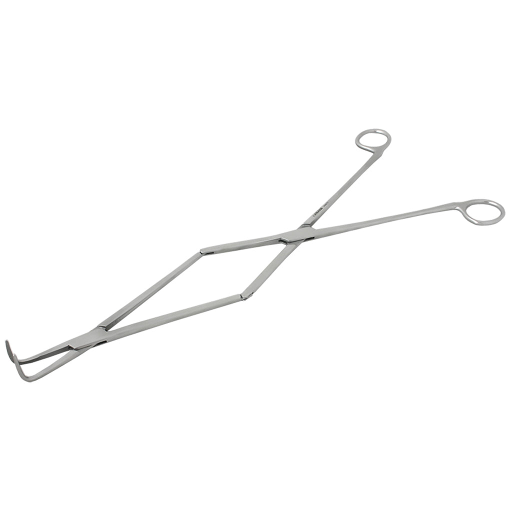 Equine Fine Point Periodontal Forceps