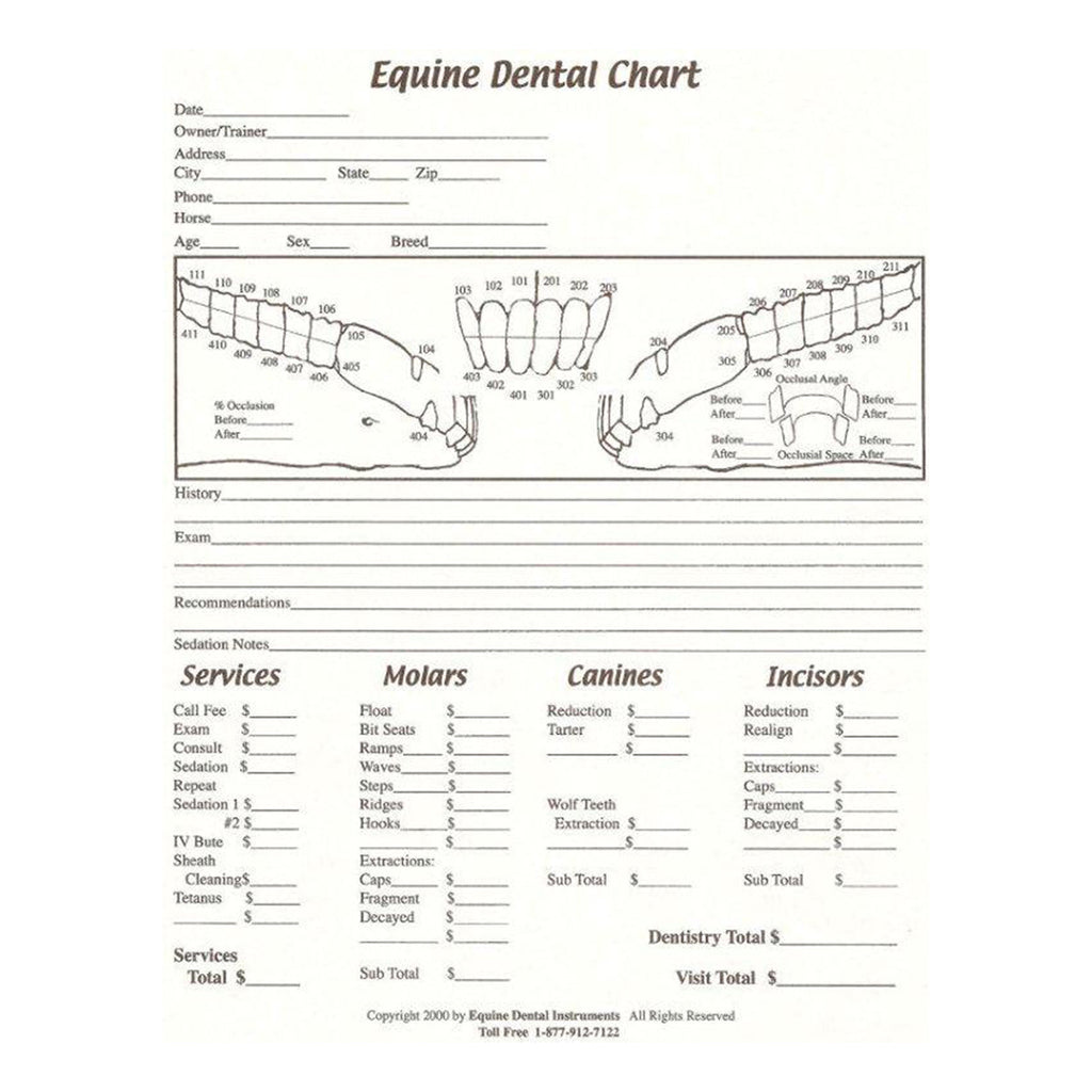 Equine Dental Chart Equine Dental Instruments