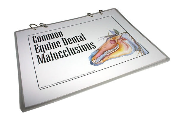 Equine Dental Malocclusions - Flip Chart Series - Equine Dental Instruments
