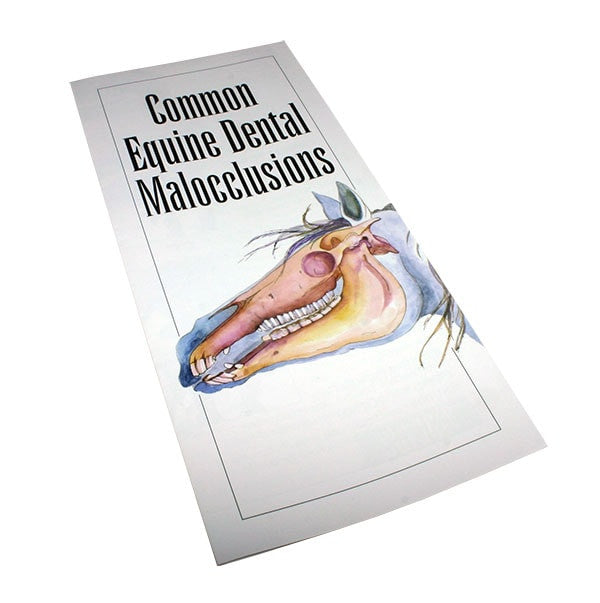 Common Equine Dental Malocclusions - Pamphlet - Equine Dental Instruments